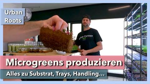 Erfolgreich Microgreens produzieren – Substrat, Trays, Handling | Urban Roots | Interview 3 | 2022