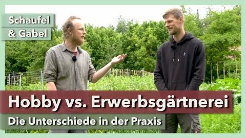 Erwerbsgemüsebau vs. Hobbygartenbau | Schaufel & Gabel | Interview 2 | 2021