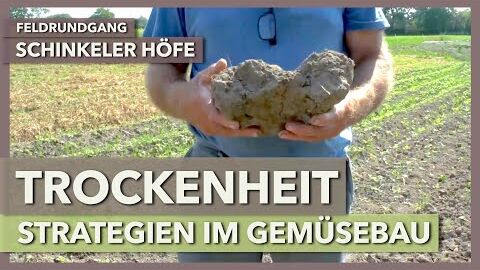 Extreme Trockenheit im Gemüsebau und wie wir damit umgehen können | Schinkeler Höfe | Feldrundgang 6