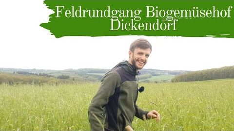 Feldrundgang Biogemüsehof Dickendorf | Mulchgemüsebau  | Relavisio auf dem Feld (2019)