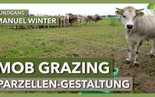 Form und Größe der Weideparzellen im Mob Grazing | Manuel Winter | Rundgang 2