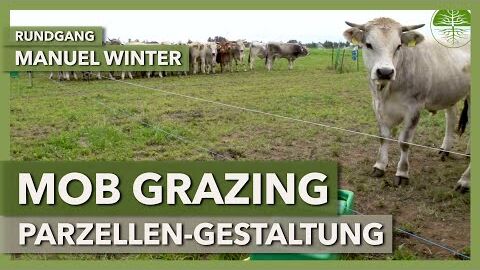 Form und Größe der Weideparzellen im Mob Grazing | Manuel Winter | Rundgang 2