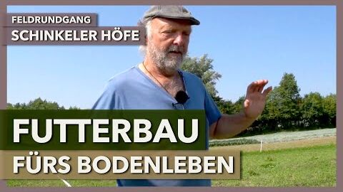 Futterbau fürs Bodenleben “und ich dachte, ich wär Gemüsebauer” | Schinkeler Höfe | Feldrundgang 5