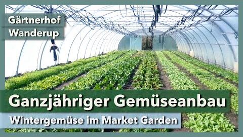 Ganzjähriger Gemüseanbau im Market Garden | Gärtnerhof Wanderup | Rundgang 2 | 2019