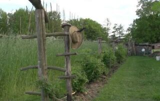 Gartendesign und Beetblöcke | solidarische Landwirtschaft Lehmgrabe | Market Garden