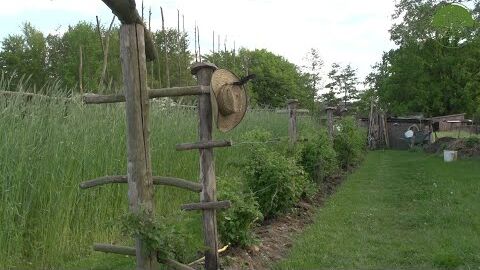 Gartendesign und Beetblöcke | solidarische Landwirtschaft Lehmgrabe | Market Garden