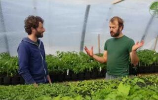 Gärtnerhof Wanderup | Was macht sie aus? | Market Garden Betriebe stellen sich vor | (2019)