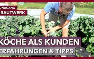 Gastronomie als Vertriebskanal für Marktgärtnereien – Erfahrungen & Tipps | Krautwerk | Rundgang 4