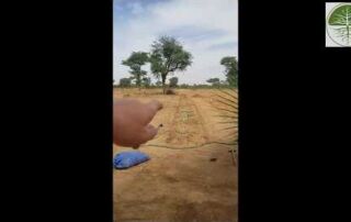 Geländerundgang und Design | Agroforst und Market Garden | Beratungsprojekt Senagal (2018)