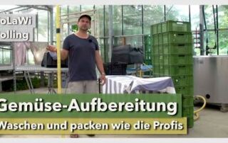 Gemüse waschen und aufbereiten wie die Profis | SoLaWi Jolling | Rundgang 5 | 2021