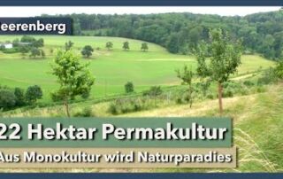 Genialer 22ha Permakultur-Hof aus ehemaliger Beeren-Monokultur | Beerenberg | Interview 1 | 2021