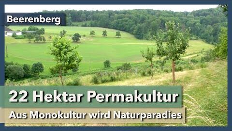 Genialer 22ha Permakultur-Hof aus ehemaliger Beeren-Monokultur | Beerenberg | Interview 1 | 2021