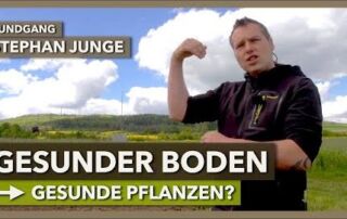 Gesunder Boden, gesunde Pflanzen – mit Mulch & Begrünungen | Stephan Junge | Rundgang 1