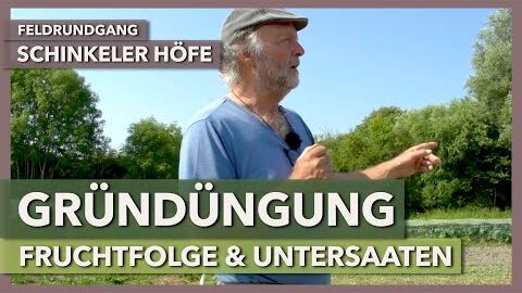 Gründüngung in der Fruchtfolge und Untersaaten Gemüse | Schinkeler Höfe | Feldrundgang 4