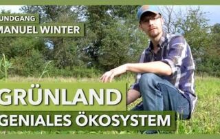Grünland – arbeiten mit einem genialen Ökosystem | Manuel Winter | Rundgang 6