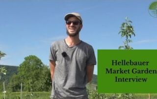 Hellebauer Update | Interview | No Dig Market Garden | Mai 2020