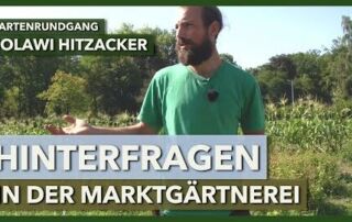 Hinterfragen der gängigen Praxis – auch in der Marktgärtnerei | SoLaWi Hitzacker | Gartenrundgang 3