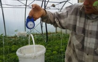 Immer wissen wie viel man Düngt | So einfach kann es gehen | Relavisio Tips (2019)