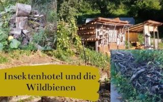 Insektenhotel, Sandarium und die Wildbienen