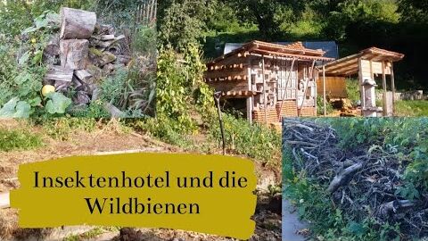 Insektenhotel, Sandarium und die Wildbienen