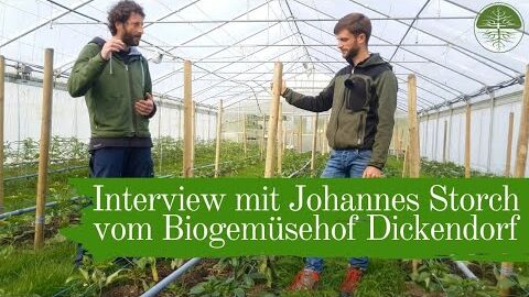 Interview mit Johannes Storch vom Biogemüsehof Dickendorf | Gemüsebau mit Mulch (2019)