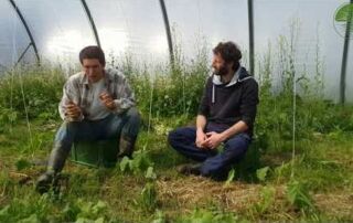 Jonas vom Friedelhof spricht über seinen Market Garden Betrieb (2019)