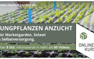 Jungpflanzen Anzucht von A-Z | Für Market Garden, SoLaWi und ambitionierte Selbstversorger!