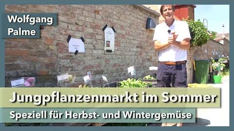 Jungpflanzenmarkt im Sommer – für Wintergemüse | Wolfgang Palme & City Farm | Rundgang 3 | 2021