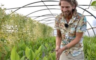 Klauserei | Gartenrundgang Teil 4 | Raritäten, Ingwer, Kurkuma, Gewächshäuser, Wintergemüseanbau