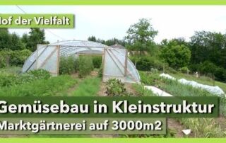 Klein(st)strukturierter Gemüsebau in Handarbeit | Hof der Vielfalt | Rundgang 1