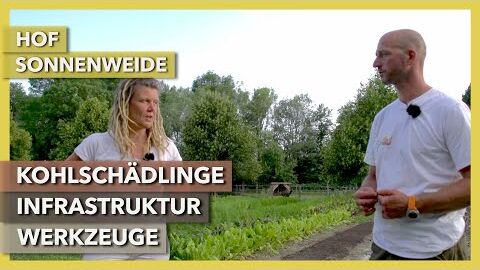 Kohlschädlinge, Infrastruktur, Werkzeuge | Hof Sonnenweide Paradiesgemüse | Rundgang 2 | 2021