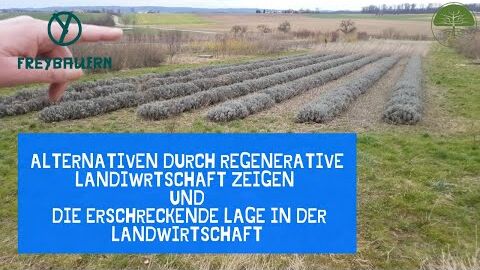 Konkurrenzfähigkeit | Preisverfall | regenerative Landwirtschaft als Alternativen | Freybauern 2020