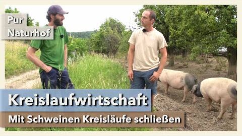 Kreislaufwirtschaft mit Freilandschweinen | Pur Naturhof | Interview 2 | 2021