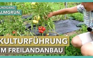 Kulturenbesprechung – Freilandtomaten, Untersaaten, Bio-Blumen | Almgrün | Rundgang 3 | 2020
