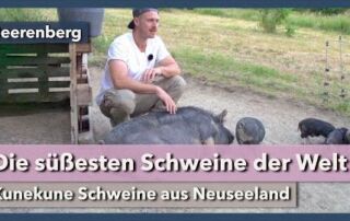 Kunekune – Die süßesten Schweine der Welt | Beerenberg | Rundgang 1 | 2021