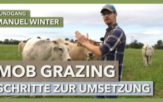 Kurzrasenweide oder Koppelweide auf Mob Grazing umstellen? | Manuel Winter | Rundgang 3