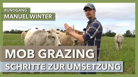 Kurzrasenweide oder Koppelweide auf Mob Grazing umstellen? | Manuel Winter | Rundgang 3