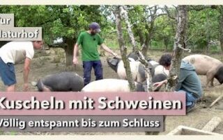 Kuscheln mit Schweinen – So geht Freilandhaltung | Pur Naturhof | Rundgang 1 | 2021