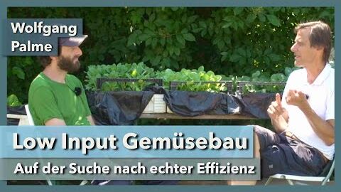 Low Input Gemüseanbau – effizient & produktiv | Wolfgang Palme & City Farm | Interview 2 | 2021