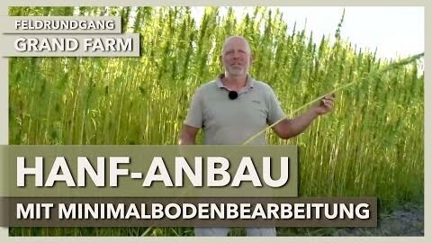 Low Input Hanf-Anbau mit minimaler Bodenbearbeitung | GRAND FARM | Feldrundgang 2