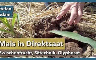 Mais in Direktsaat – Zwischenfrucht, Sätechnik, Gülle, Glyphosat | Stefan Adam | Rundgang 2 | 2022