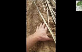 Market Garden Beete für intensiven Gemüsebau | Beispiel aus dem Senegal (2018)