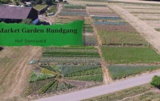Market Garden Rundgang | Hof Sonnwald | Lagergemüse | Folientunnel | Gartenrundgang (2020)