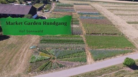 Market Garden Rundgang | Hof Sonnwald | Lagergemüse | Folientunnel | Gartenrundgang (2020)