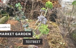 Market Garden Testbeete | Am Permakultur Hof Sehl (2020)
