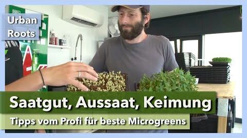 Microgreens – Saatgut, Aussaat, Keimung | Urban Roots | Interview 6 | 2022