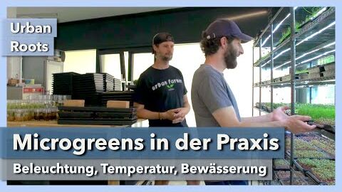 Microgreens Setup – Beleuchtung, Temperatur, Bewässerung | Urban Roots | Interview 5 | 2022