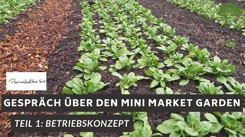 Mini Market Garden | Gespräch mit Johannes Sehl | Teil 1 | Am Permakultur Hof Sehl (2020)