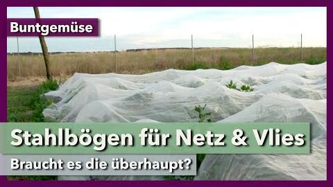 Minibögen für Netz und Vlies – notwendig oder nicht? | Buntgemüse | Rundgang 5 | 2021