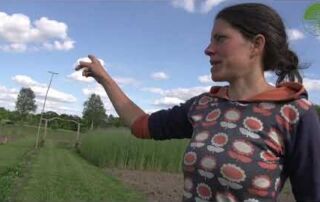 Minitunnel Bögen | Beetmarkierung leicht gemacht | Beetvorbereitung | Wegepflege im Market Garden